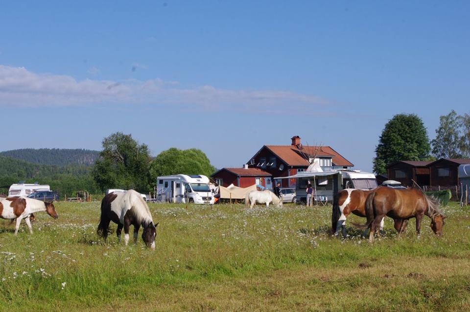 Bed and Breakfast Sun Dance Ranch Eksharad Экстерьер фото
